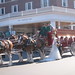 Kathryn Busch Photo 7
