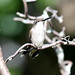 Richard Murrell Photo 31