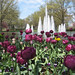 Richard Furman Photo 31