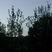 Marcel Cope Photo 6