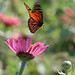 Michael Swider Photo 12