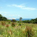 Cliff Fielding Photo 4