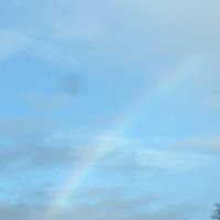 Sally Potter Photo 41