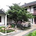 Jian Zhang Photo 15