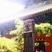 Lin Shao Photo 8
