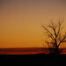 Young Moon Photo 46