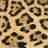 David Schell Photo 53