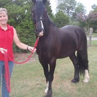 Jan Robbins Photo 15
