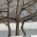 Jackie Calvert Photo 9