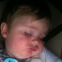 Steven Rutter Photo 16