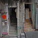 Shing Wong Photo 19