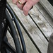 Kim Dutton Photo 13