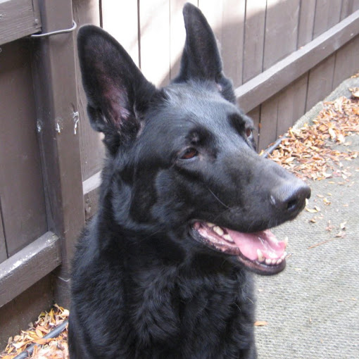 Nancy Clements Photo 4