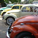 Inderpal Singh Photo 24