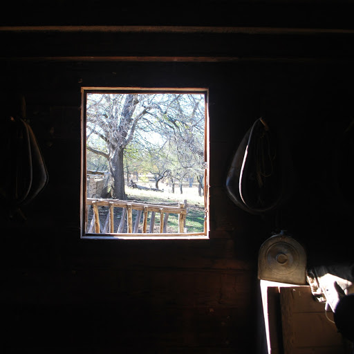 Robert Burrows Photo 34