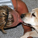 Meghan Duncan Photo 6