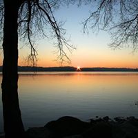 Gail Reynolds Photo 39