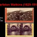 Carlton Watkins Photo 20