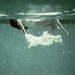 Sam Gaskin Photo 20