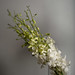 Anna Gilmore Photo 19