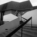 Nathan Davidson Photo 39