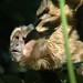 Martin Hunt Photo 42