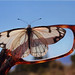 Penny Estes Photo 26