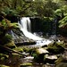 Gordon Rayner Photo 10