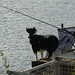Joyce Miles Photo 33