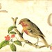 Robin Parmelee Photo 2