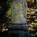 David Bollinger Photo 20
