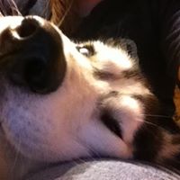 Katelyn Cole Photo 13