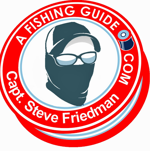 Steve Friedman Photo 36