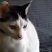 Frances Nance Photo 15