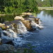 Nancy Potts Photo 3