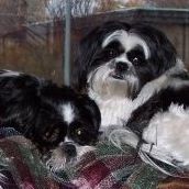 Janet Clements Photo 8