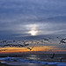Christopher Rodgers Photo 17