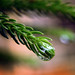 Vance Lang Photo 8