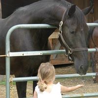 Debbie Cooley Photo 5