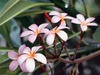 Gina Robinson Photo 27