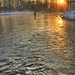 Sunny Salmon Photo 4