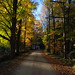 Mike Moulder Photo 11