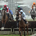 Barry Regan Photo 7