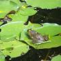 Jane Jewell Photo 21