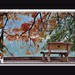 Hung Tran Photo 15