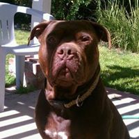 Frank Winstead Photo 12
