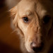 Carolyn Fletcher Photo 25