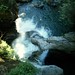Lynn Fall Photo 10