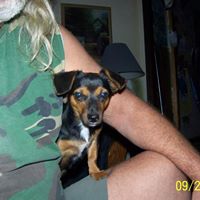 Robert Shupe Photo 41