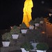Vinh Ho Photo 9